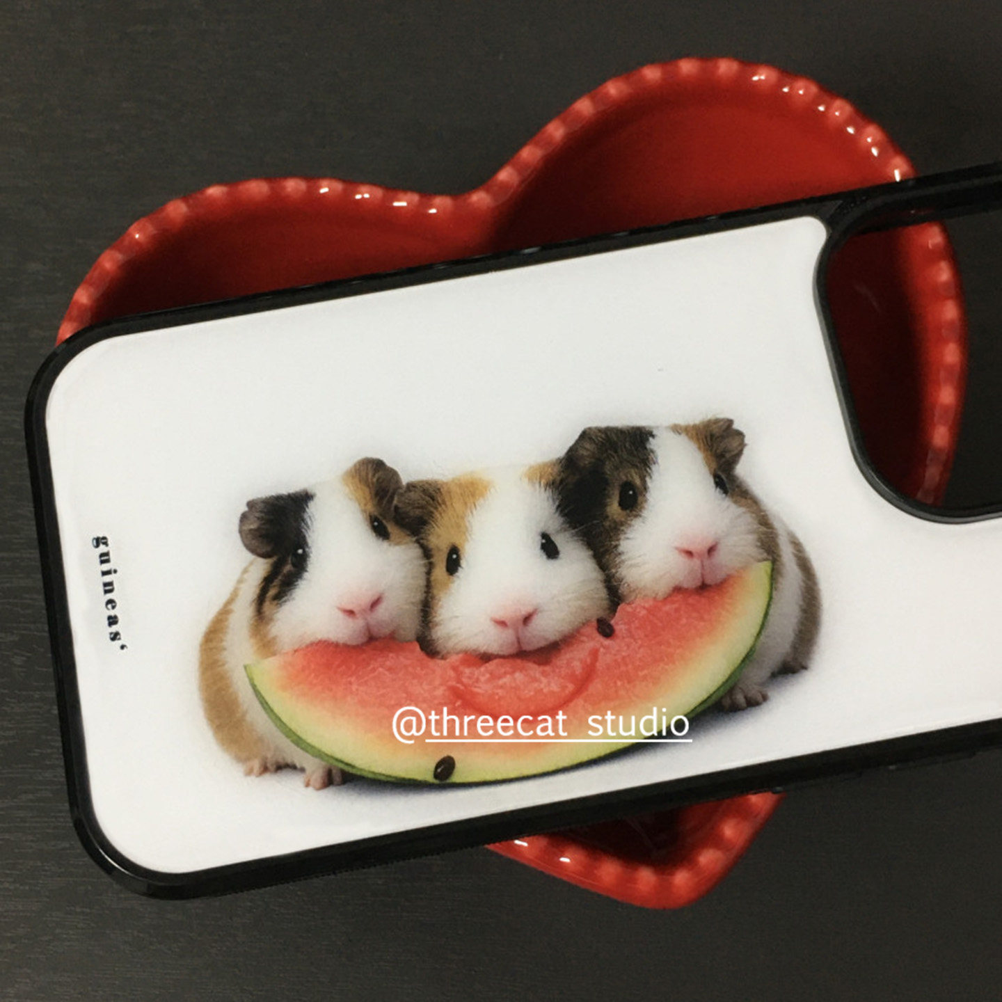 Koreaanse Ins Guinea Pig Eet W - Phone Cases Korea recensie en prijs